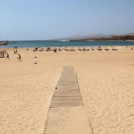 Delia Castillo 3b * 칼레타데푸스테